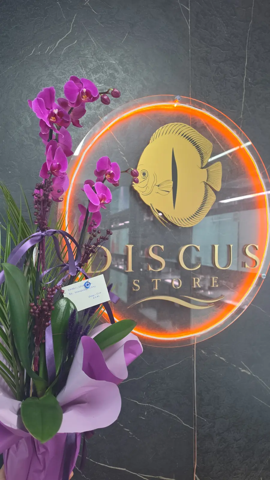 Discus Store mağazasının neon tabelası